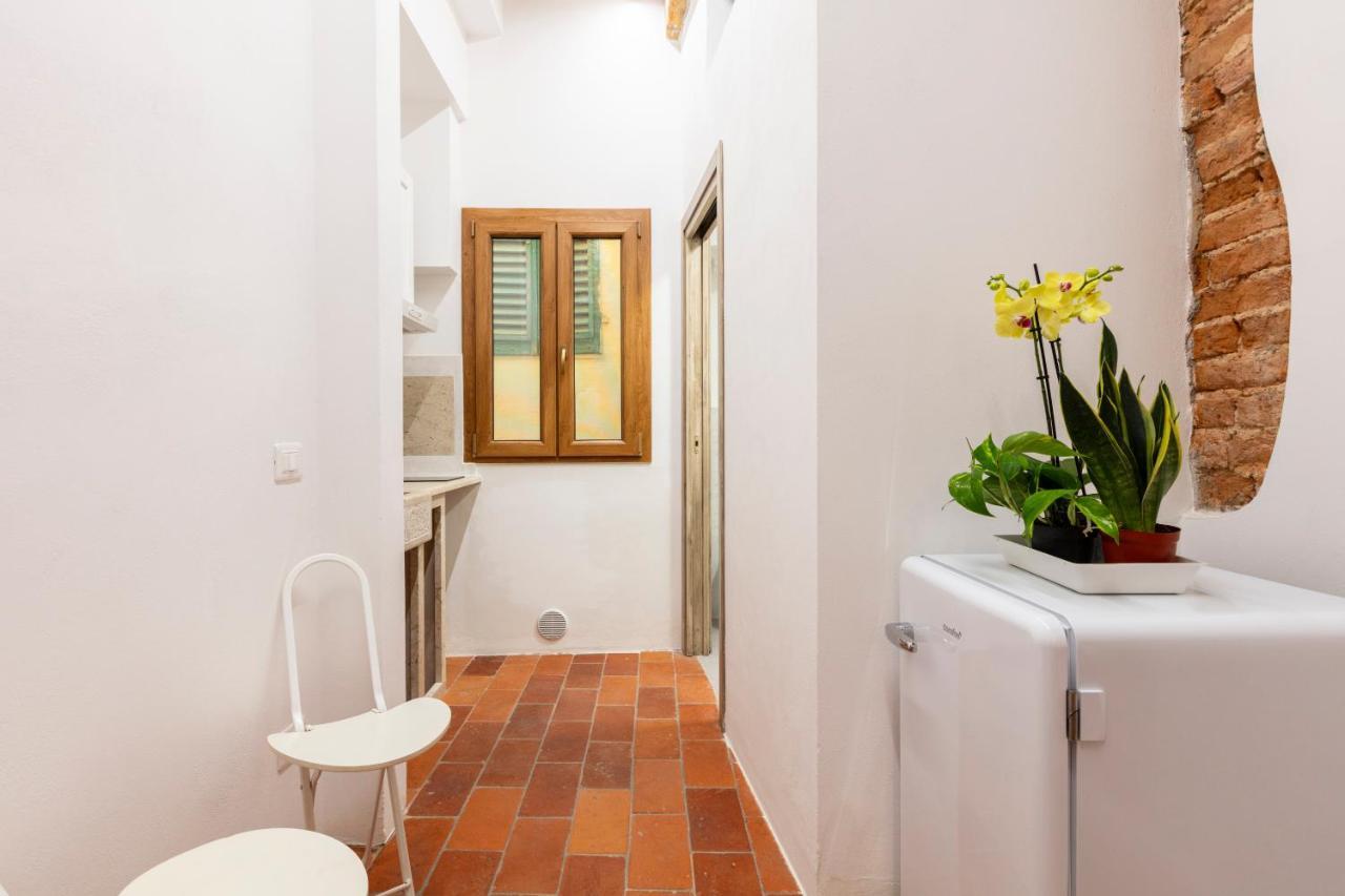 Central Cool Apt S. Spirito, Ac Флоренция Экстерьер фото